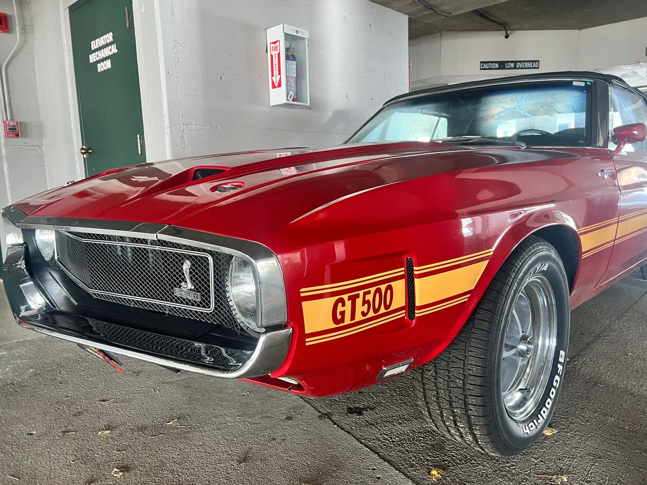 Red Shelby GT500 — full exterior detail by Ascent Auto Detailing Silverthorne